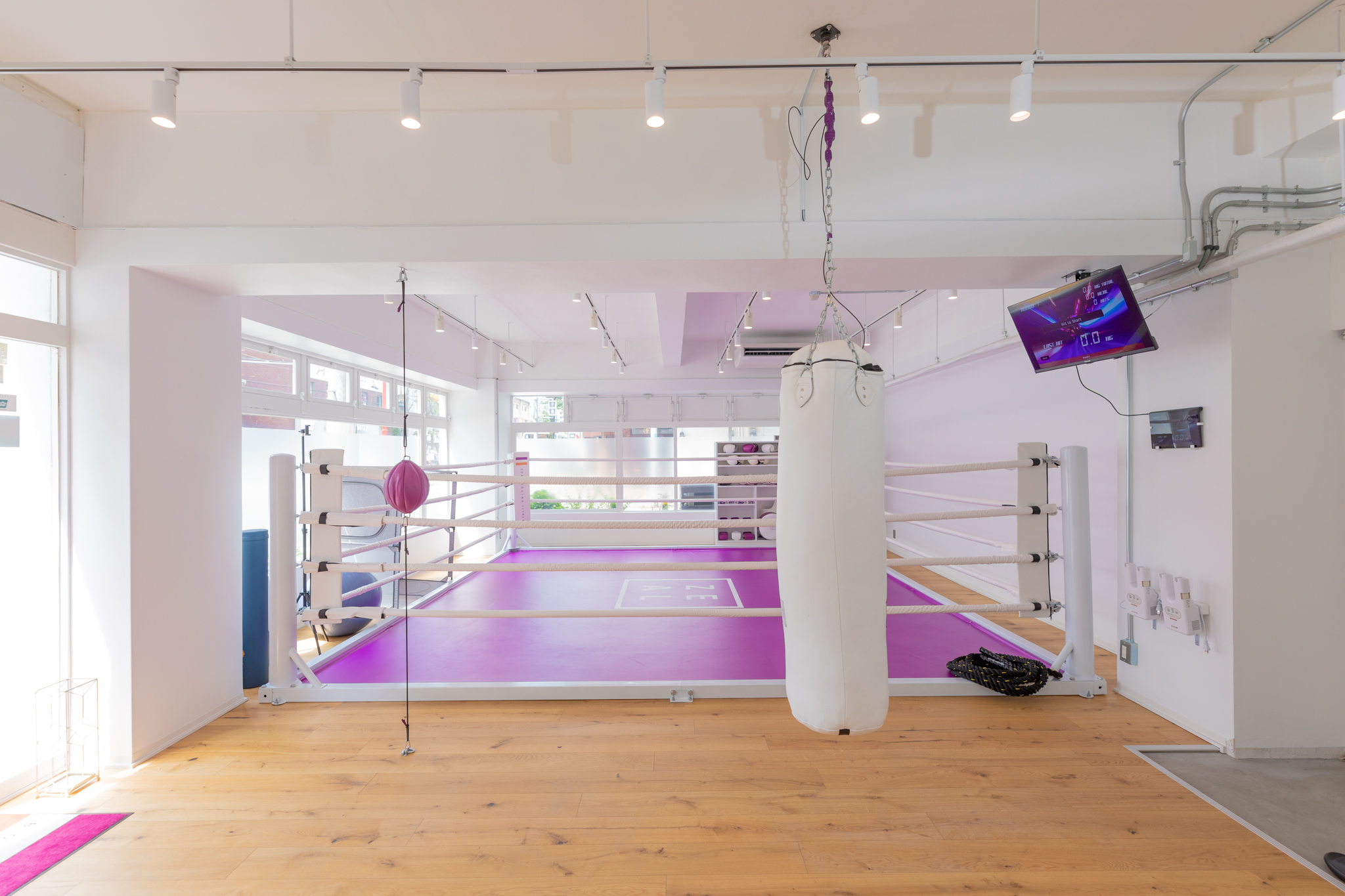 ZEALBOXING FITNESS Gym Interior